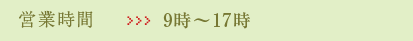 営業時間:9時から17時