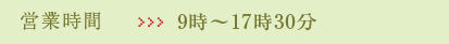 営業時間:9時から17時